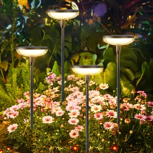 6Pack Solar Garden/Path Lights